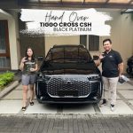 chery-pasteur-5